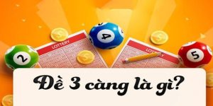 Giải Đáp Đề 3 Càng Là Gì